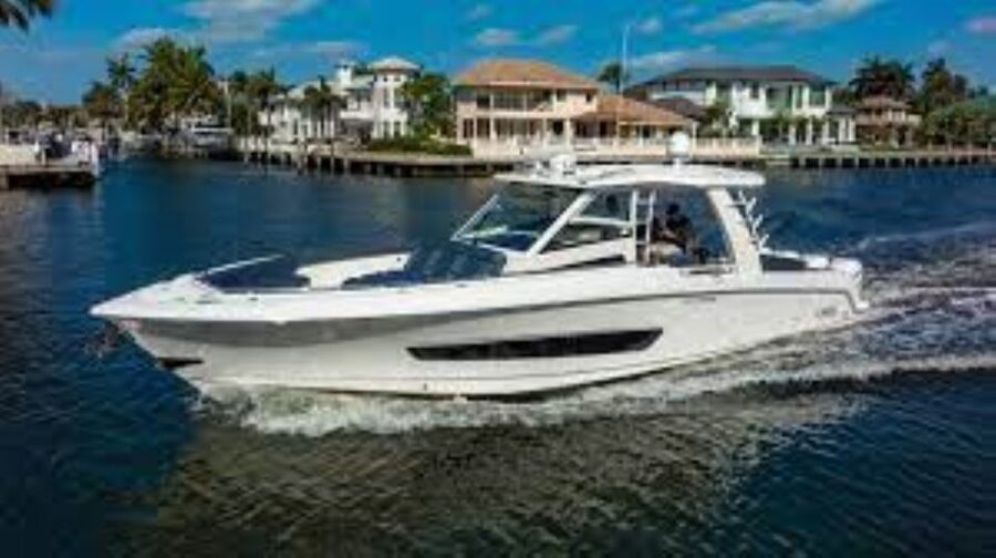 Maalaea: Small Group 2-Hour Whale Watch Experience - Conditions, comfort, and weather: what to bring so the trip stays pleasant