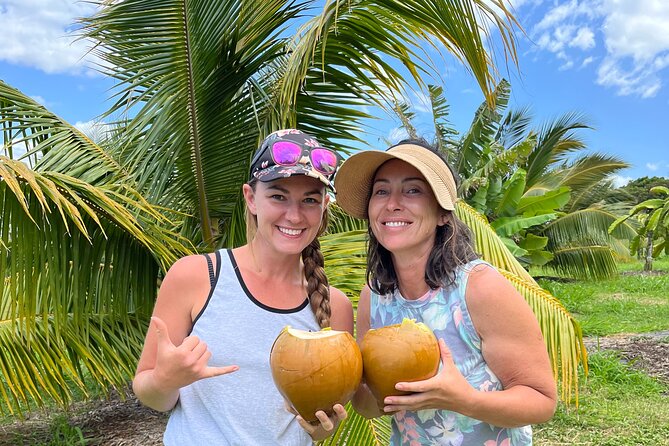 Macnut Tour, Picnic lunch and Maui Bees - A 2-hour farm lesson on Maui’s solar-powered mac nut world