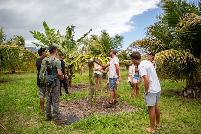 Macnut Tour, Picnic lunch and Maui Bees - Where you start: Ula’Ula Cafe in Wailuku