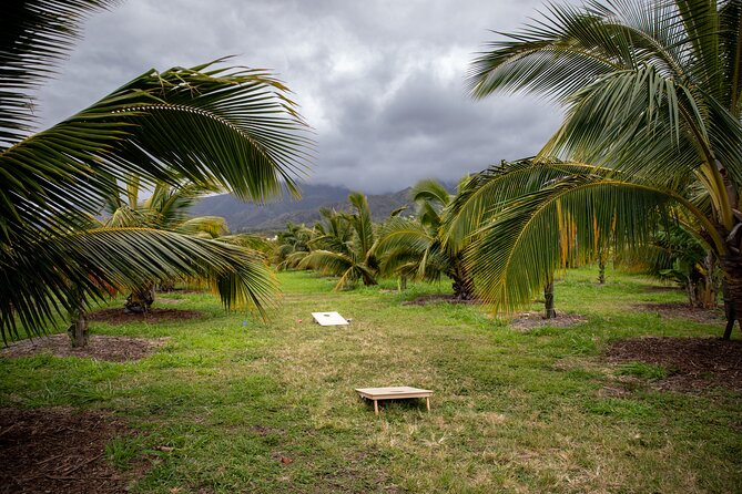 Macnut Tour, Picnic lunch and Maui Bees - Sampling honey and macadamias without the hard sell
