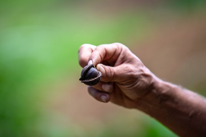 Macnut Tour, Picnic lunch and Maui Bees - Who this tour fits best on Maui