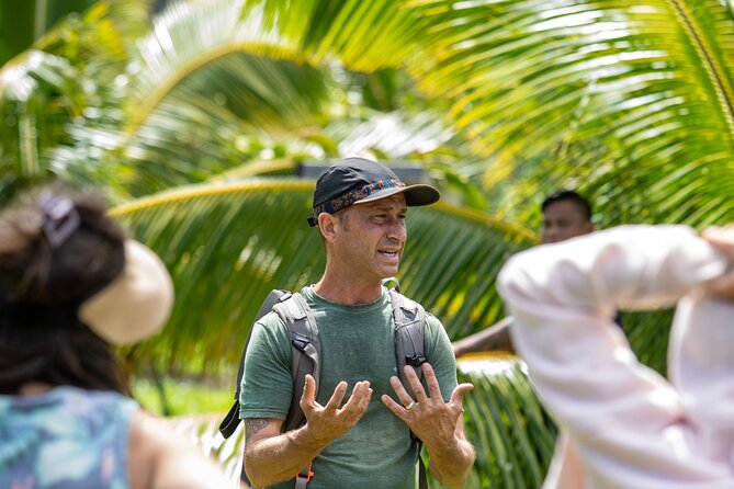 Macnut Tour, Picnic lunch and Maui Bees - Walking the nearly 1000-acre solar-powered farm and greenhouse