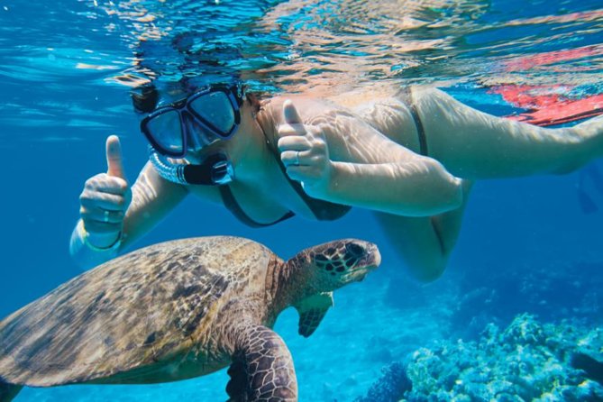 Makena Turtle Town Eco Adventure in Maui - Meeting at Makena Landing Park: why the early start matters