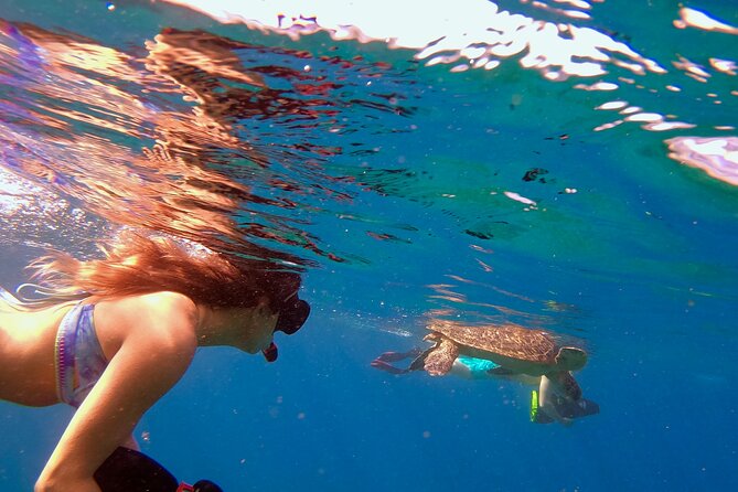 Mala Wharf Lahaina Jet Scooter Snorkeling Small Group with GoPro - Mala Wharf sea scooter snorkeling: what you’re really buying for $149