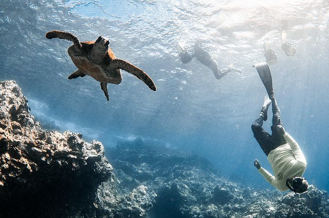 Mala Wharf Lahaina Jet Scooter Snorkeling Small Group with GoPro - The sea scooter advantage: less scrambling, more steady viewing