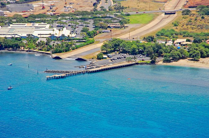 Mala Wharf Lahaina Jet Scooter Snorkeling Small Group with GoPro - Wildlife watchlist: what to look for underwater