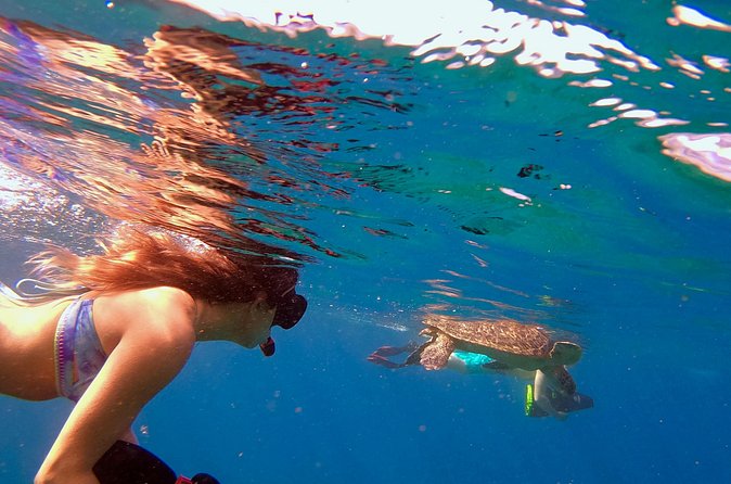 Mala Wharf Lahaina Jet Scooter Snorkeling Small Group with GoPro - GoPro expectations: a quick reality check