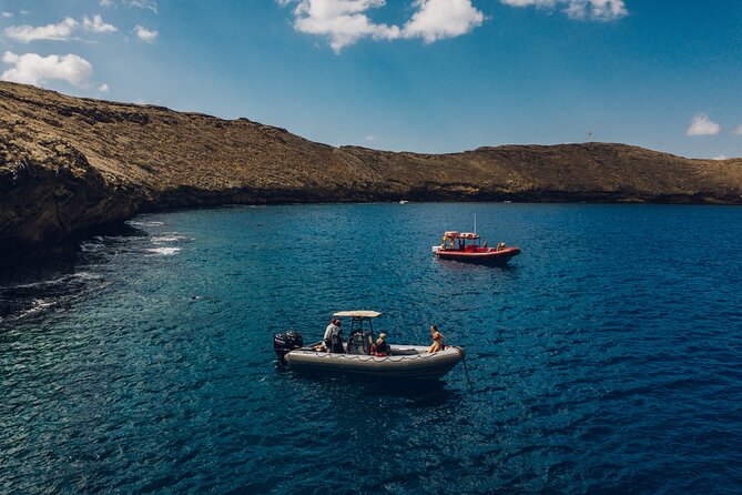 Maui: 2-Hour Molokini Snorkel Trip - Wildlife Moments: Whales, Sea Turtles, and More
