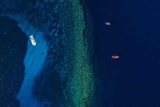 Maui: 2-Hour Molokini Snorkel Trip - Picking 7:00am or 9:30am for Real-World Conditions