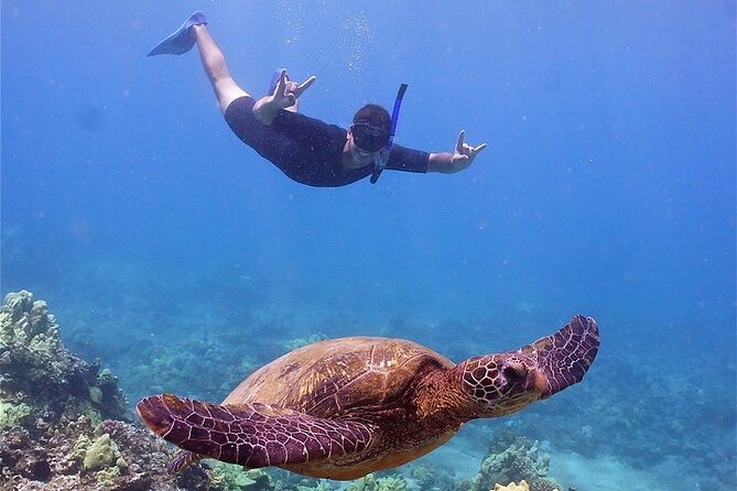 Maui Afternoon Snorkel Aboard Malolo to Molokini or Coral Gardens - Boat comfort and safety that make beginners feel less nervous