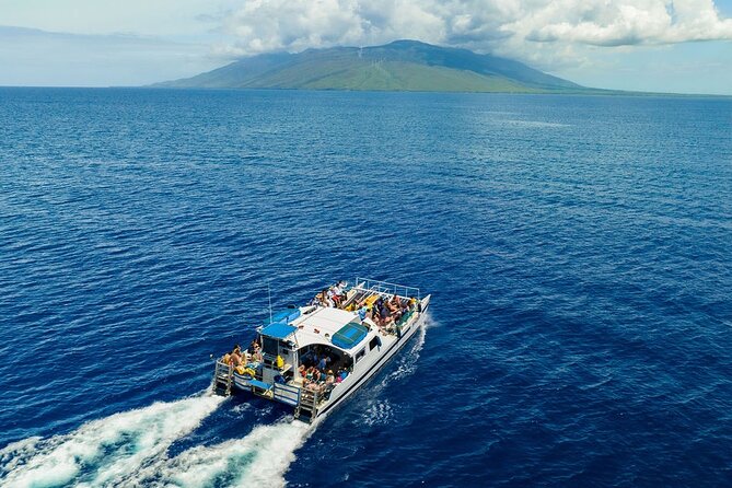 Maui Afternoon Snorkel Aboard Malolo to Molokini or Coral Gardens - Wildlife odds: whales in season, and other surprises