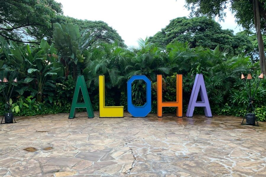 Maui Airport Custom Lei Greeting - Choose Your Lei - Kahului Airport OGG: a calm arrival instead of a scramble