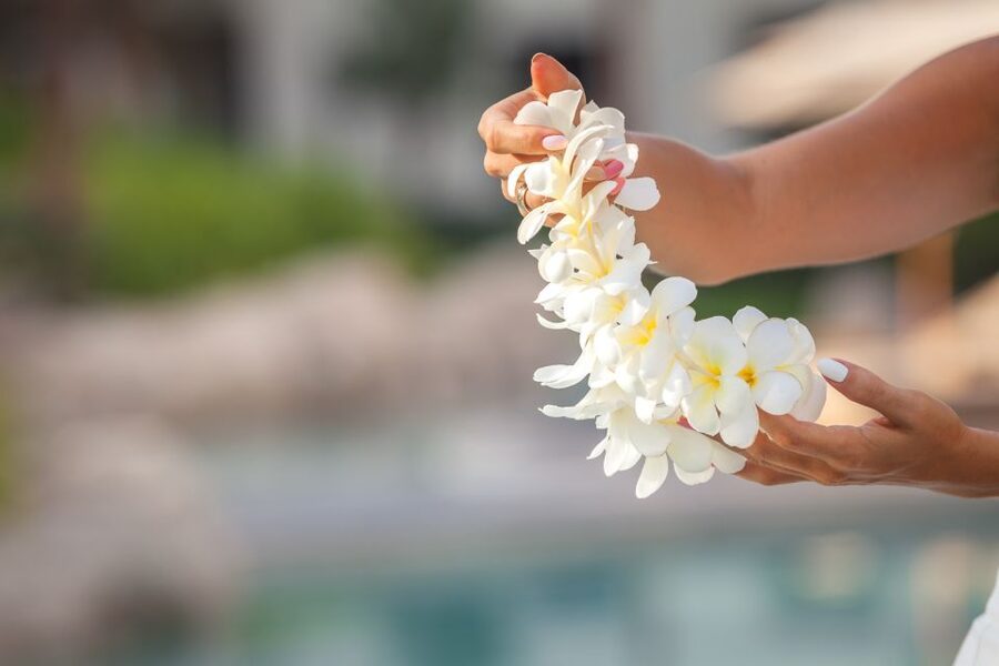 Maui Airport Custom Lei Greeting - Choose Your Lei - Timing tricks: what to do if your flight runs long