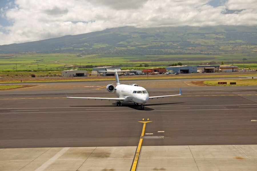 Maui Airport Custom Lei Greeting - Choose Your Lei - Should you book the Maui airport custom lei greeting?