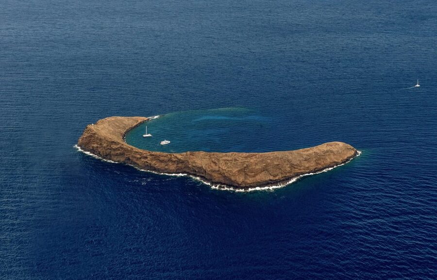 Maui and Molokai: Spectacular Helicopter Tour - Molokai’s sea cliffs: why this looks bigger from a helicopter