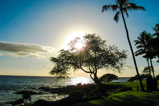 Maui Beach Parks Self-Guided Driving Tour - Stop-by-Stop: What You’re Really Getting at Each Area