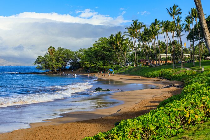 Maui Beach Parks Self-Guided Driving Tour - Tips That Make the Day Feel Easier