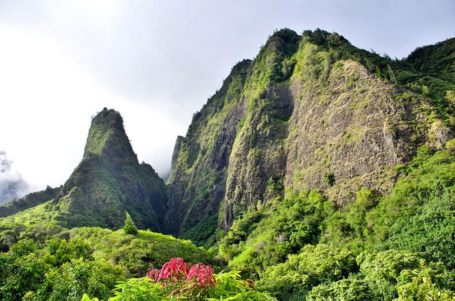 Maui: Best of Maui/Haleakala - Sips, Sites & Bites - Why this Haleakalā-to-Iao day tour makes sense (even if you hate driving)