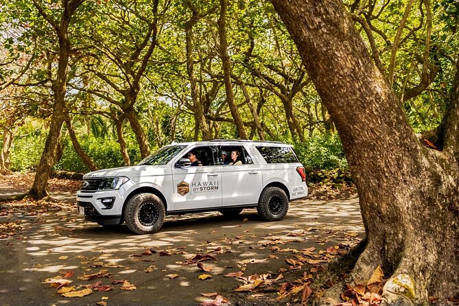 Maui by Storm: Epic Private Luxury Road to Hana Adventure Tour - Kahului start at Safeway: stock up before the fun begins