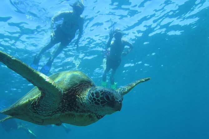 Maui Clear Kayak and Snorkel Tour: Swim with turtles (Makena) - Haleakala, Molokini, and west Maui: why the topside scenery matters too