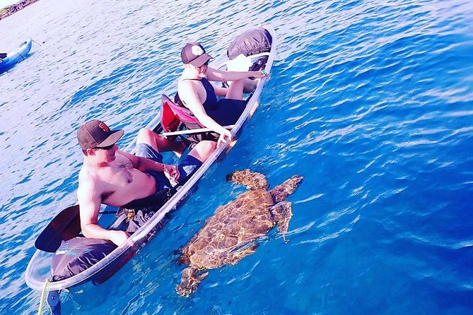 Maui Clear Kayak and Snorkel Tour: Swim with turtles (Makena) - Who should book this tour (and who should think twice)
