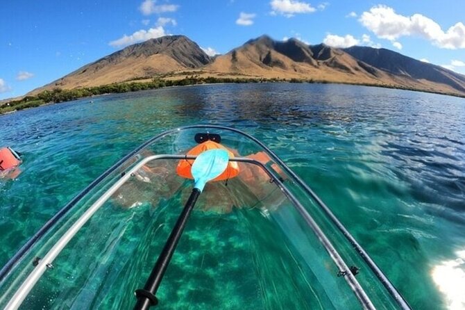 Maui Clear Kayak and Snorkel Tour: Swim with turtles (Olowalu) - The guide matters: Kyle and Curtis bring the context