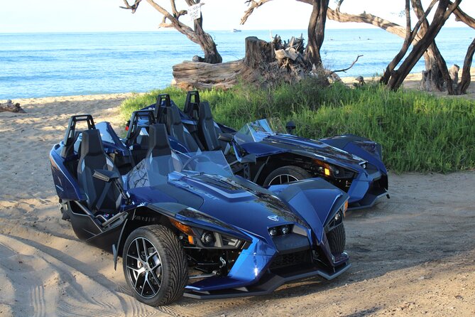 Maui Coast Slingshot Tour from Kihei - Stop: Maui Ocean Center as a low-stress kickoff