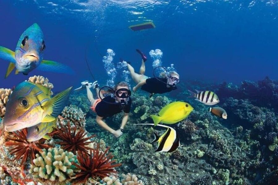 Maui: Deluxe Molokini Snorkel with Breakfast & Lunch - Molokini Crater Snorkel: Why the Marine Preserve Matters