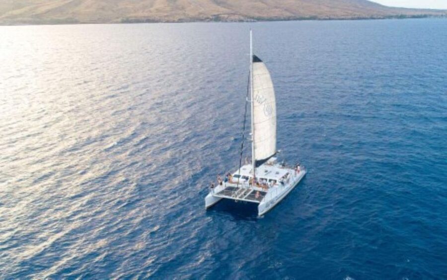 Maui: Deluxe Molokini Snorkel with Breakfast & Lunch - Photographer in and out of the water: Getting Maui memories fast