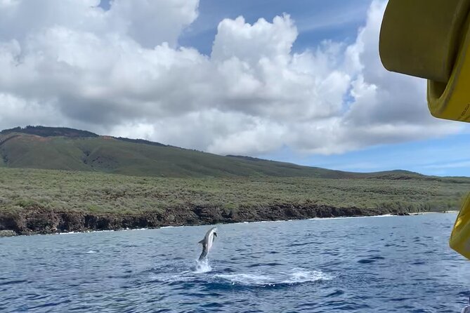 Maui Eco-Raft: 2 Hour Dolphin Watch Sightsee Tour (Semi-Private) - Dolphins (and the rest): what you can realistically hope to see