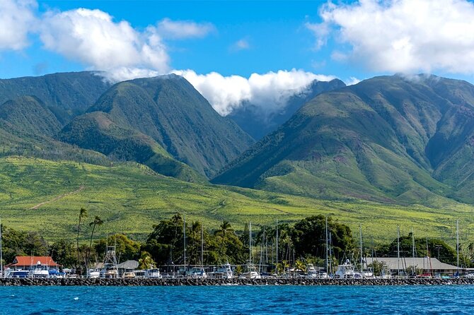 Maui Eco-Raft: 2 Hour Dolphin Watch Sightsee Tour (Semi-Private) - What semi-private really means when you’re chasing wildlife