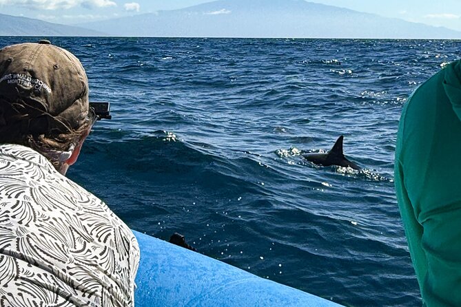 Maui Eco-Raft: 2 Hour Dolphin Watch Sightsee Tour (Semi-Private) - Lahaina check-in and how the 2 hours usually play out