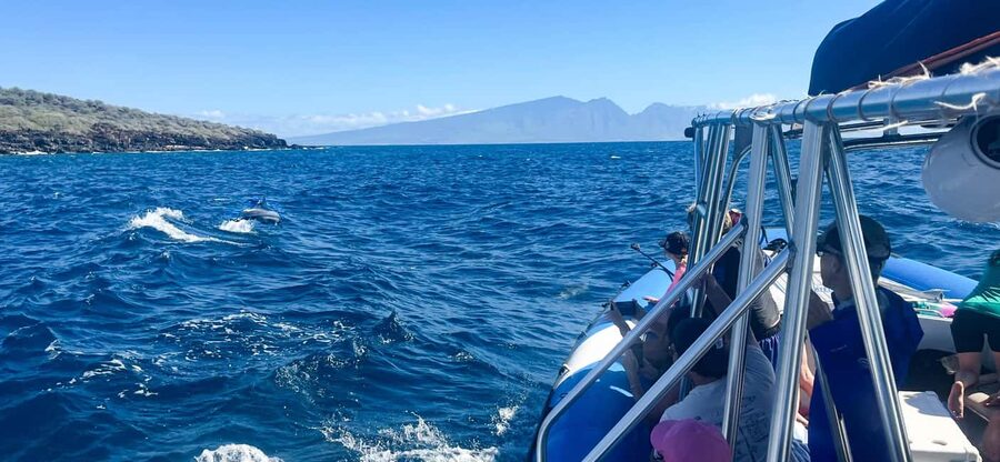 Maui: Eco-Raft Dolphin Watch Tour with Snacks - Key things to know before you go