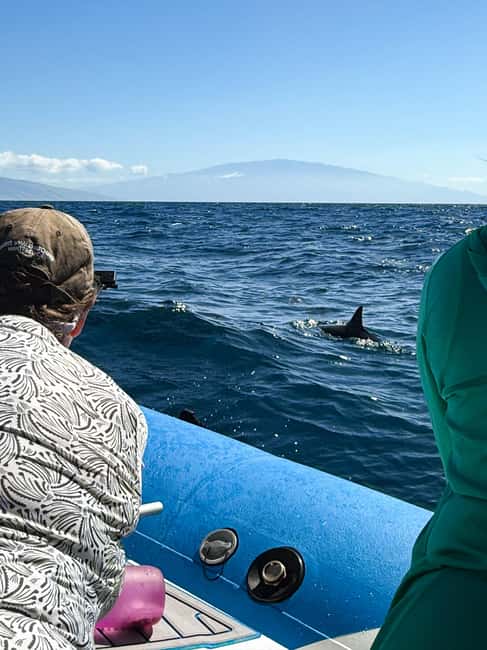 Maui: Eco-Raft Dolphin Watch Tour with Snacks - From Lahaina to West Maui and Lanai, with dolphins on the horizon