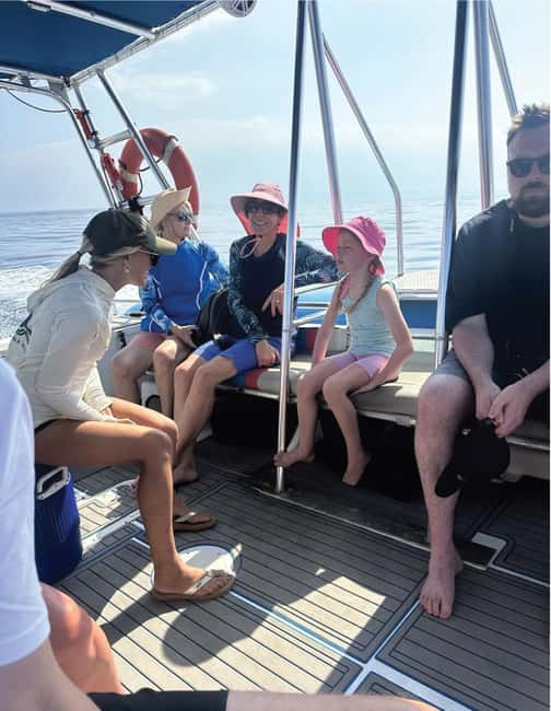 Maui: Eco-Raft Dolphin Watch Tour with Snacks - What happens during the 2-hour ride (and what you should watch for)