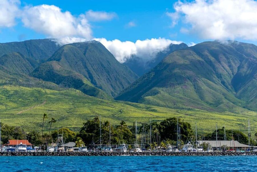 Maui: Eco-Raft Dolphin Watch Tour with Snacks - Dolphin encounters: fun, but plan for no guarantee