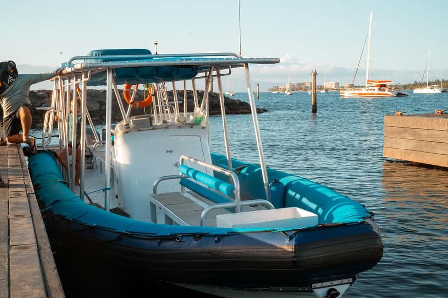 Maui: Eco-Raft Dolphin Watch Tour with Snacks - Beyond dolphins: turtles and rays may join the party
