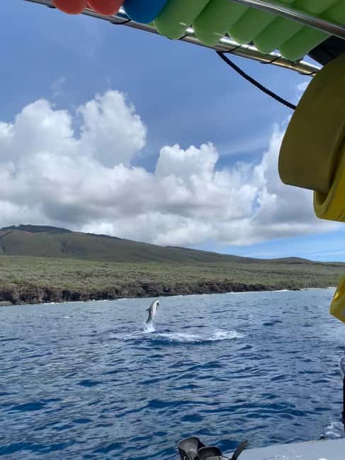 Maui: Eco-Raft Dolphin Watch Tour with Snacks - Who this tour is for (and who should skip it)