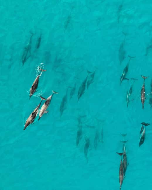 Maui: Eco-Raft Dolphin Watch Tour with Snacks - The eco-raft setup: why staying dry is a big deal