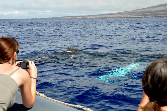 Maui Eco-Raft Tour: Eye-Level Whale or Dolphin Watching - Lahaina - What’s Included vs. What You Need to Bring (Because You Will Get Wet)