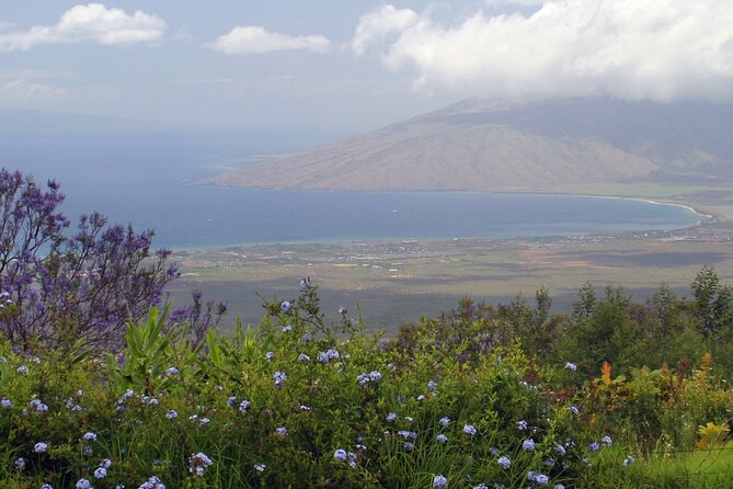 Maui Farm Distillery and local craft experience Full-Day Tour - Price and what you actually get for $224