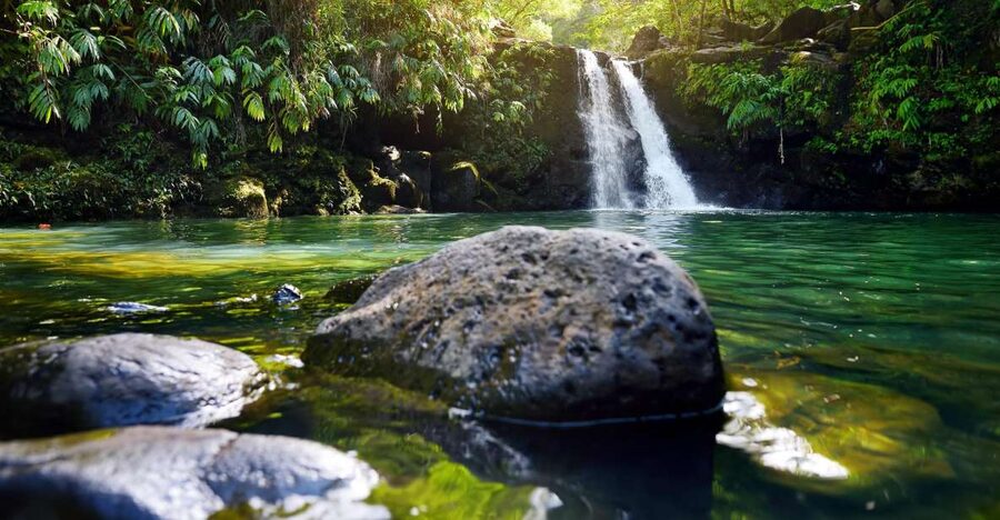 Maui: Guided Rainforest and Waterfall Walk & Swim - Key Highlights You’ll Want to Know