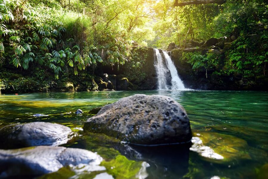 Maui: Guided Rainforest and Waterfall Walk & Swim - Rainforest to Waterfall: What the 3 Hours Really Feel Like