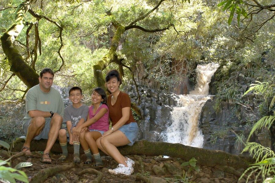 Maui: Guided Rainforest and Waterfall Walk & Swim - The Rainforest Lesson: What You’ll Learn Beyond the Scenery
