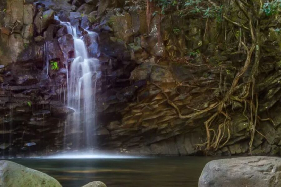 Maui: Guided Rainforest and Waterfall Walk & Swim - Safety and Guide Training: Why This Feels Confident