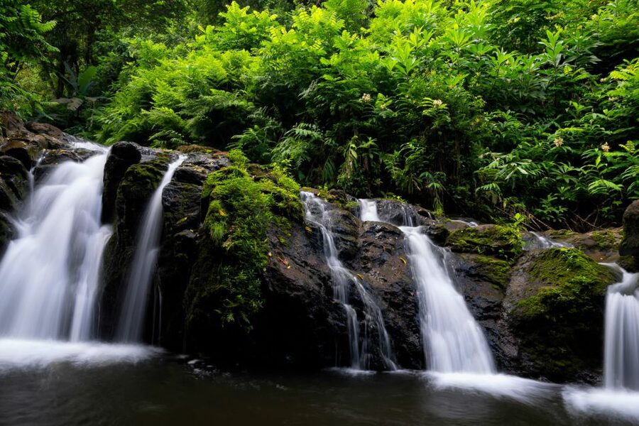 Maui: Guided Rainforest and Waterfall Walk & Swim - Price and Value: Is $140 Worth It?