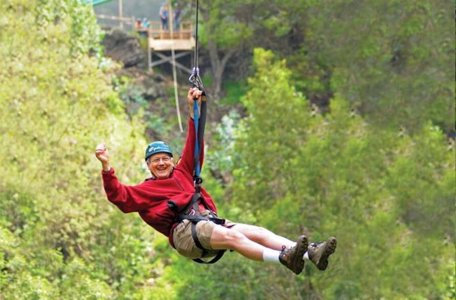 Maui: Haleakala 6-Line Zipline Adventure - The six-line course through Haleakala’s forest: what it feels like