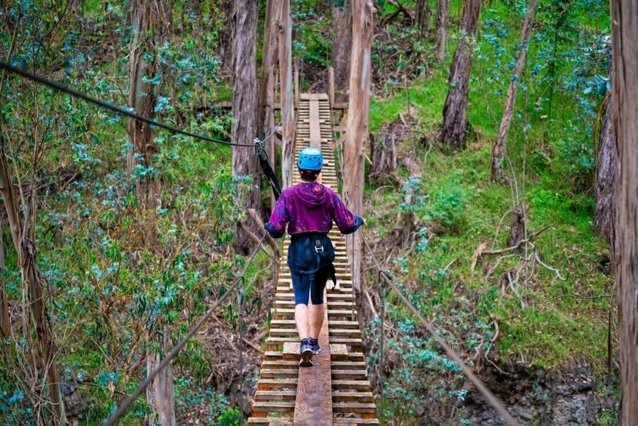 Maui: Haleakala 6-Line Zipline Adventure - What you learn along the way: ecology, ranching, and conservation