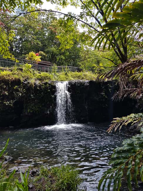 Maui: Halfway to Hana Black Sand Beach & Turtles Tour - Key moments you’ll care about