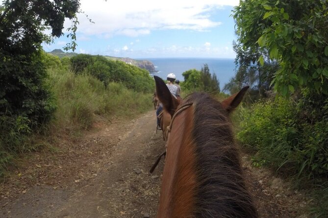 Maui Horseback Adventure at Circle M Ranch With Real Cowboys - Safety, Shoes, and the 230-Pound Weight Limit
